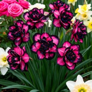 Нарцисс Золотая Корона купить по цене от 2000р. в интернет-магазине «Посадика» с доставкой почтой в в Курильске и по всей России – [изображение №1].